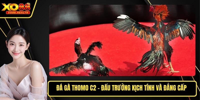 Đá Gà Thomo C2 - Đấu Trường Kịch Tính Và Đẳng Cấp