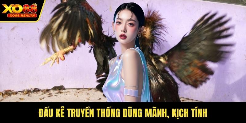 Đấu kê truyền thống dũng mãnh, kịch tính