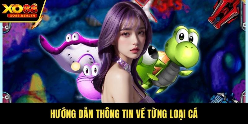 Hướng dẫn thông tin về từng loại cá