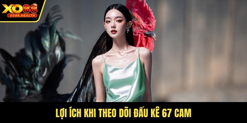 Lợi ích khi theo dõi đấu kê 67 cam