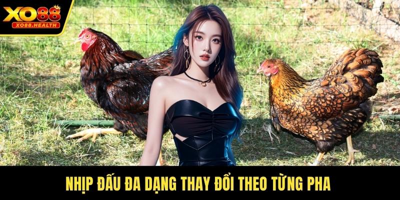 Nhịp đấu đa dạng thay đổi theo từng pha 