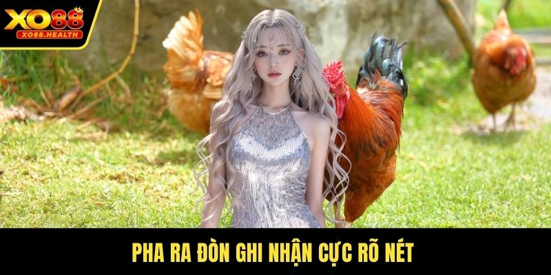 Pha ra đòn ghi nhận cực rõ nét 