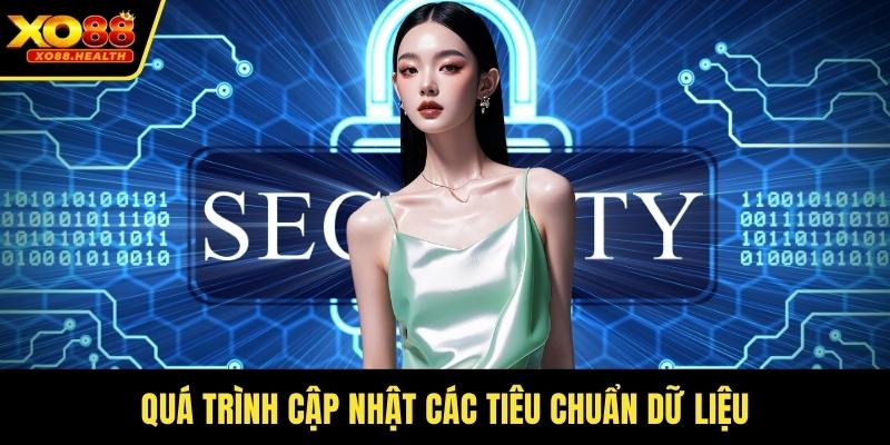 Quá trình cập nhật các tiêu chuẩn dữ liệu